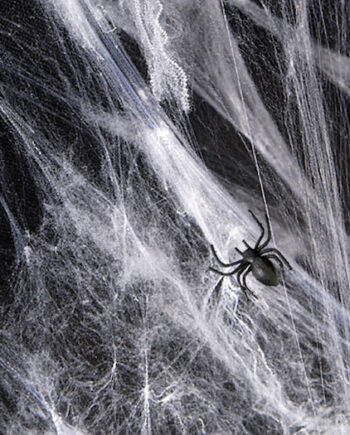 Skræmmende Halloween Spindelvæv med Edderkopper til Fest